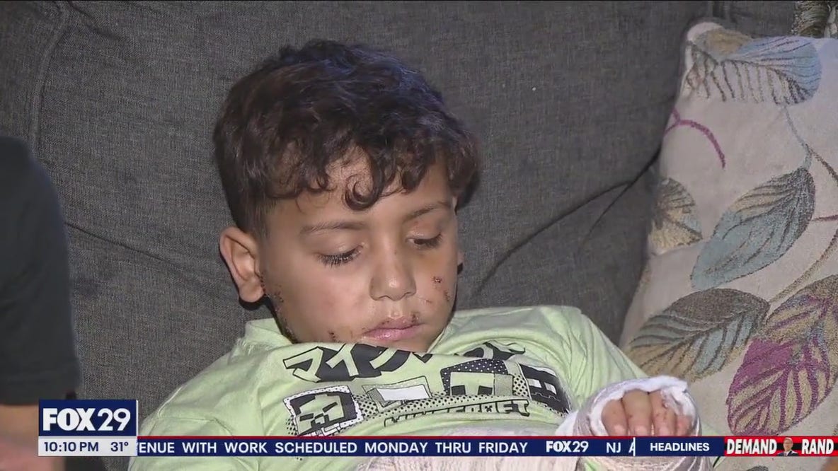 Family seeks justice after 7-year-old boy attacked by dog